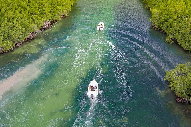 Snorkeling Experience in Cancún with Speedboat (Couple) - Things to Keep in Mind