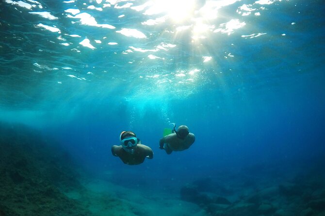 Snorkeling Experience in Genoa for Small Groups - Participation Requirements and Considerations