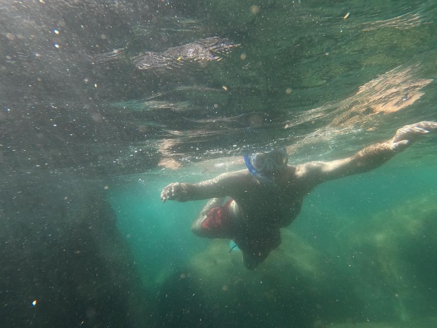 Snorkeling Experience in Ischia With Local Guide - Highlights of the Tour