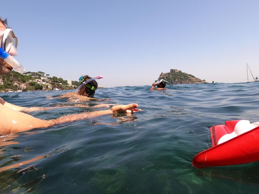 Snorkeling Experience in Ischia With Local Guide - Snorkeling Equipment Provided