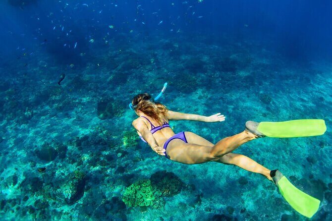 Snorkeling Experience in Underwater Museum with Transportation from Cancún - Final Thoughts: Is This Tour Right for You?