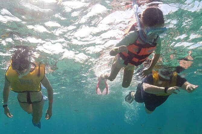 Snorkeling Experience in Underwater Museum with Transportation from Cancún - FAQ