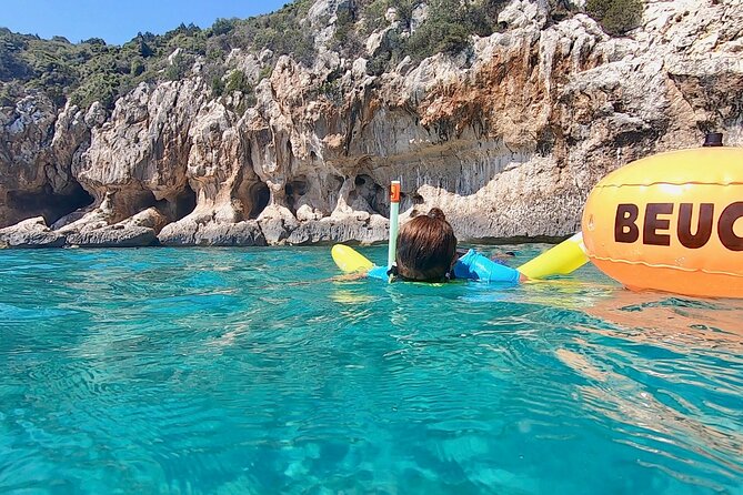 Snorkeling Experience to Discover the Dolphin Inside You! - Snorkeling Equipment and Transportation Included