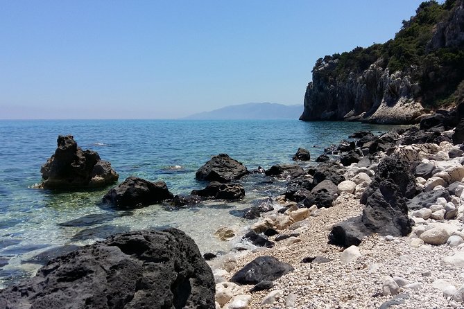 Snorkeling Experience to Discover the Dolphin Inside You! - Stunning Marine Life of Cala Gonone