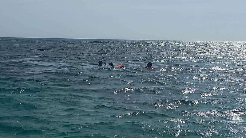 Snorkeling Express Puerto Morelos - Key Points