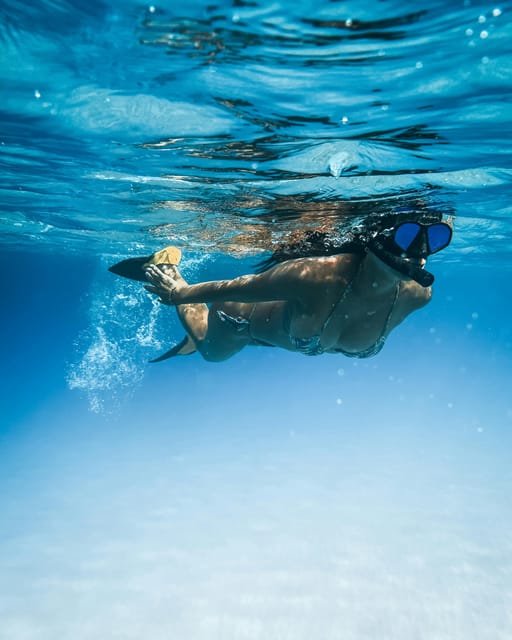 Snorkeling for beginners in crystal clear sea of Halkidiki - An In-Depth Look at the Experience