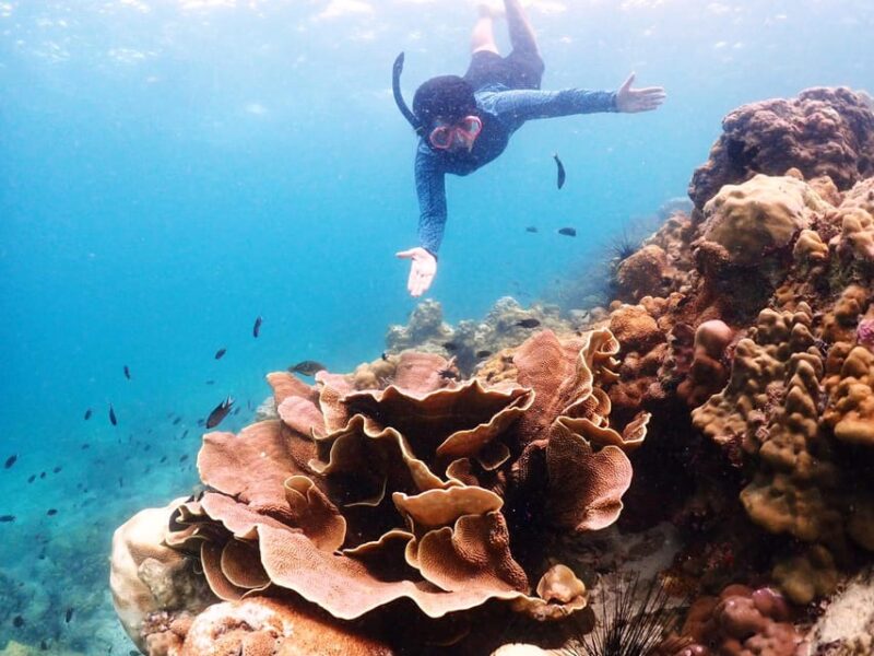 Snorkeling Full Day Experience From Bangkok - Key Points