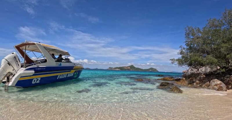 Snorkeling Full Day Experience From Bangkok - Customer Feedback