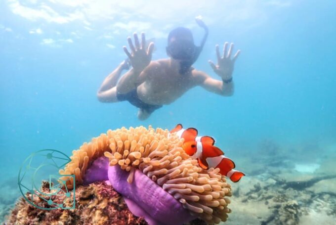Snorkeling Full Day Experience From Bangkok - What to Expect