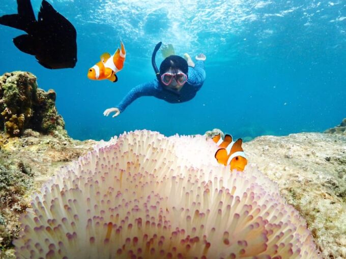 Snorkeling Full Day Experience From Bangkok - Booking and Cancellation