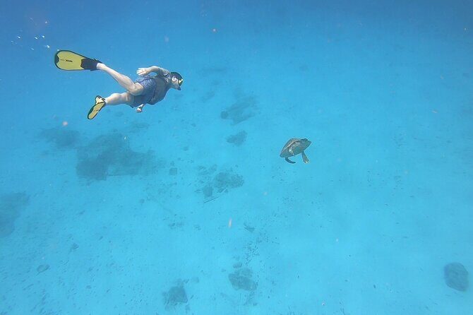 Snorkeling Gear Rental - Booking, Pricing, and Flexibility