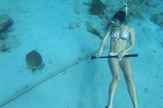 Snorkeling Gear Rental - Authentic Feedback from Travelers