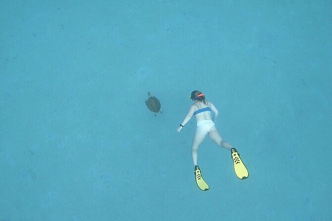 Snorkeling Gear Rental - FAQs