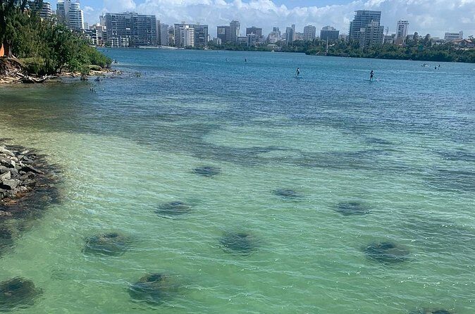 Snorkeling Guided Tour Experience in Condado Lagoon - Practical Tips for Your Snorkeling Tour