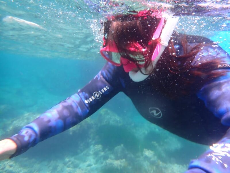 Snorkeling Guided Tours for Tha All Family! - Activity Details