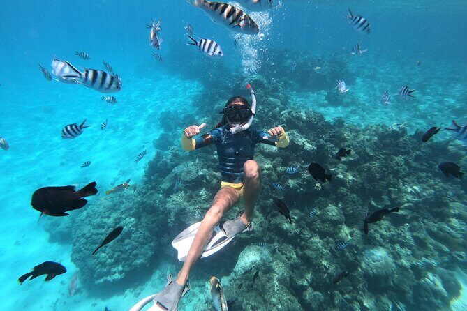Snorkeling immersion in the wonders of Tahiti - Who Should Consider This Tour?