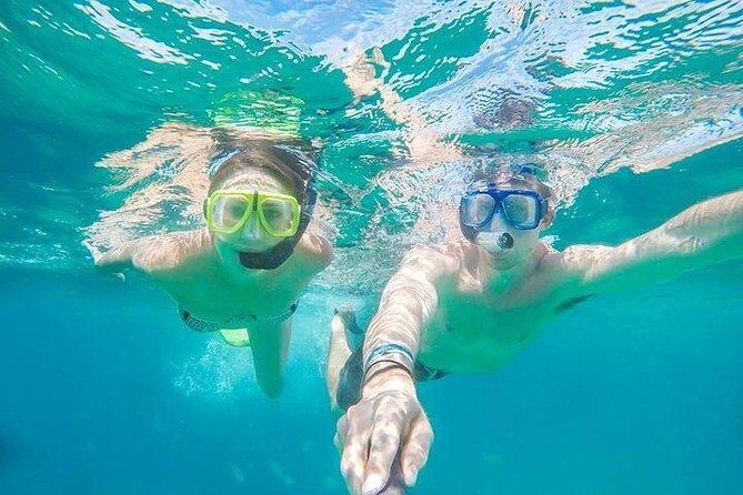 Snorkeling in Cabo San Lucas on 35' Sea Amore Trimaran - Key Points
