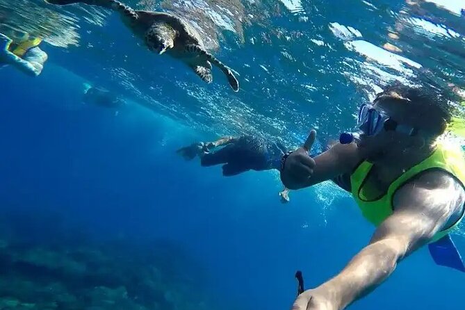 Snorkeling in Caño Island From Drake Bay - Good To Know