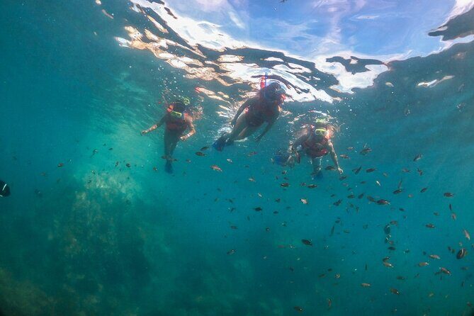 Snorkeling in Marietas Islands and BBQ in Playa Majahuitas - Analyzing the Value