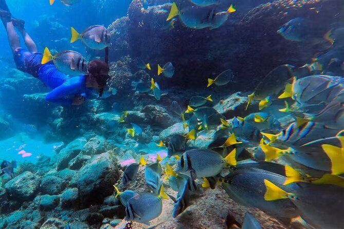 Snorkeling in Marietas Islands and BBQ in Playa Majahuitas - Who Is This Tour Best For?