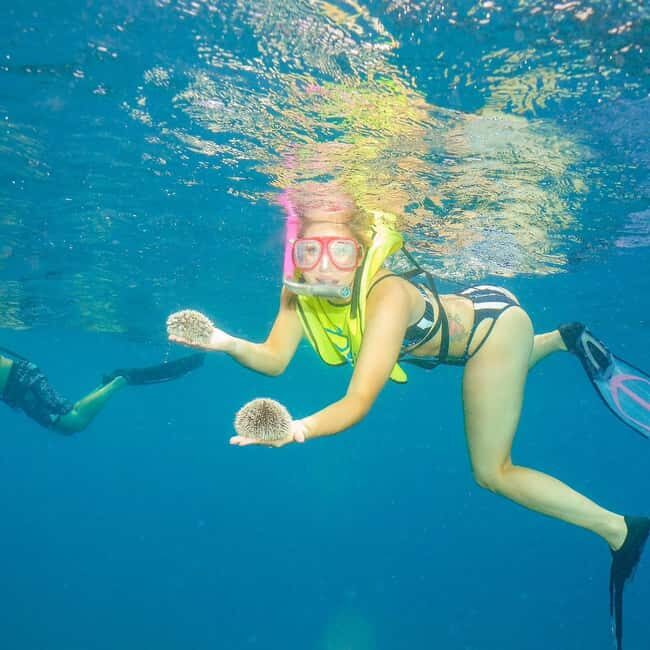Snorkeling in Montego Bay with Transportation - Key Points