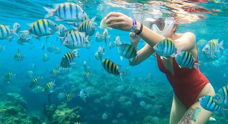 Snorkeling in Montego Bay with Transportation - The Transportation and Itinerary Breakdown