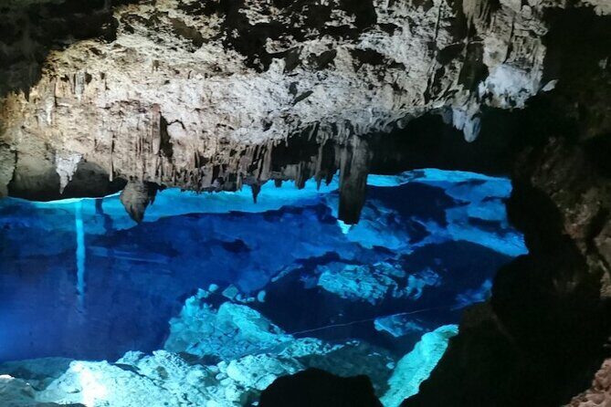 Snorkeling in the Cenotes of Bayahibe - Why This Tour is a Great Choice  