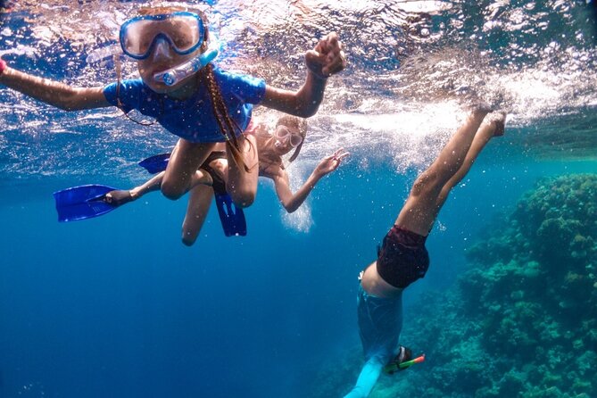 Snorkeling in the Plemmirio Reserve in Syracuse - Tips for a Successful Snorkeling Trip