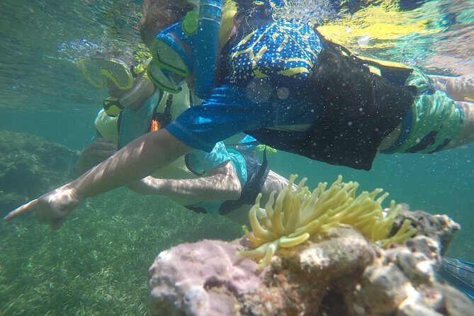 Snorkeling & Kayak Eco-Adventure in Puerto Rico - Pricing and Value for Money