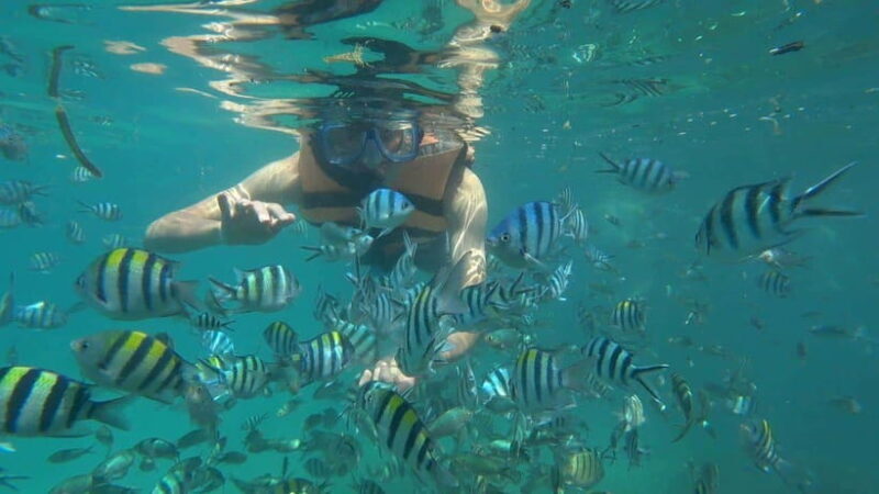 Snorkeling Kayaking Fishing Swimming Activities - Discover the Beauty of Riau Islands with an Exciting Marine Tour