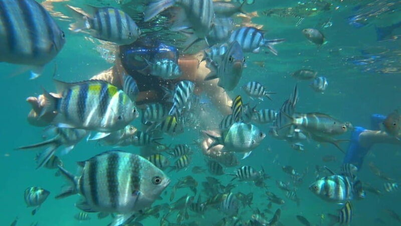 Snorkeling Kayaking Fishing Swimming Activities - What Makes This Tour Stand Out