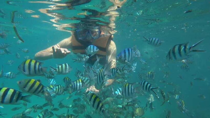Snorkeling Kayaking Fishing Swimming Activities - FAQ