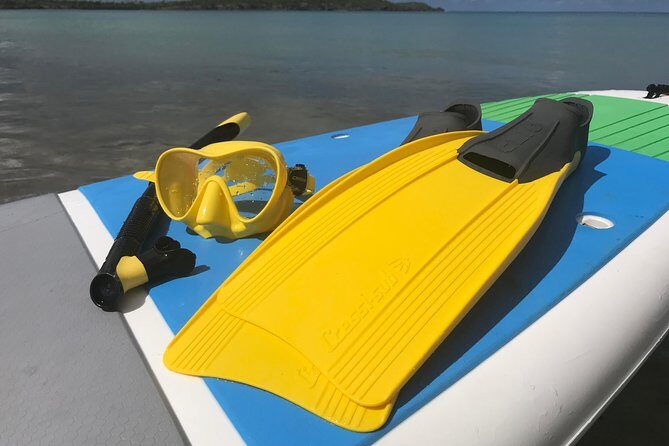 Snorkeling Lesson & Interactive Experience for Kids and Adults - Practical Details and Tips