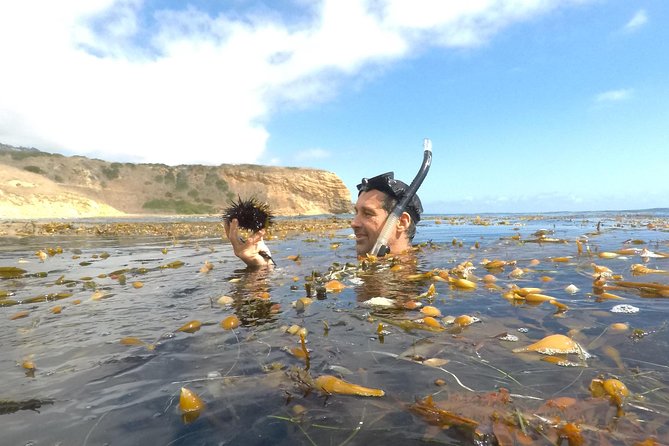 Snorkeling Los Angeles - The Best Snorkeling Spots in Los Angeles