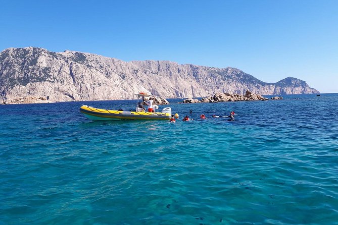 Snorkeling Marine Protected Area Tavolara - No Snorkeling Experience Required