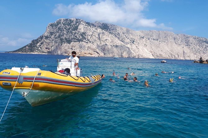 Snorkeling Marine Protected Area Tavolara - Cancellation Policy