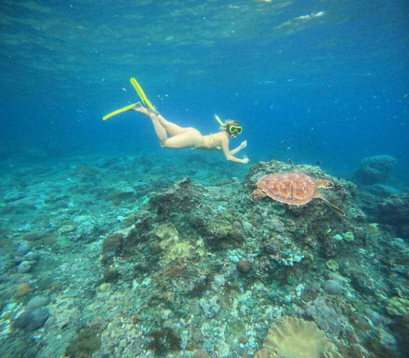 Snorkeling Nusa Penida four Spots - The Itinerary: What to Expect