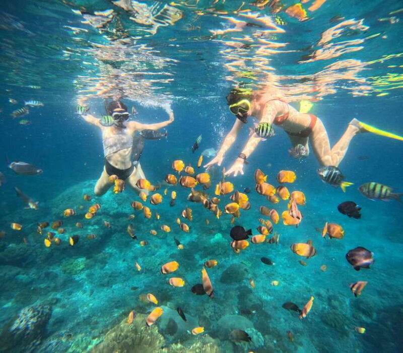 Snorkeling Nusa Penida four Spots - The Experience: Pros and Cons
