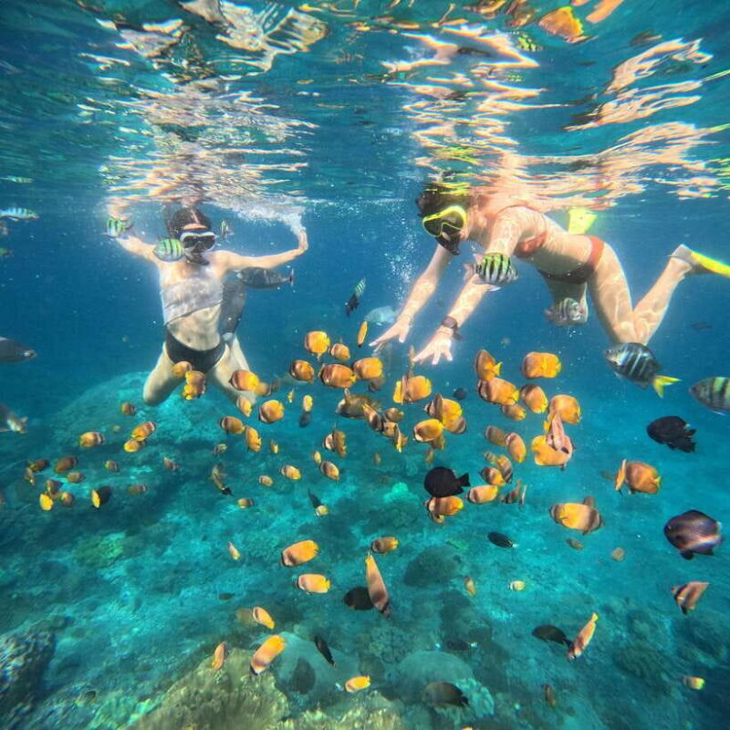 Snorkeling Nusa Penida four Spots - Final Thoughts