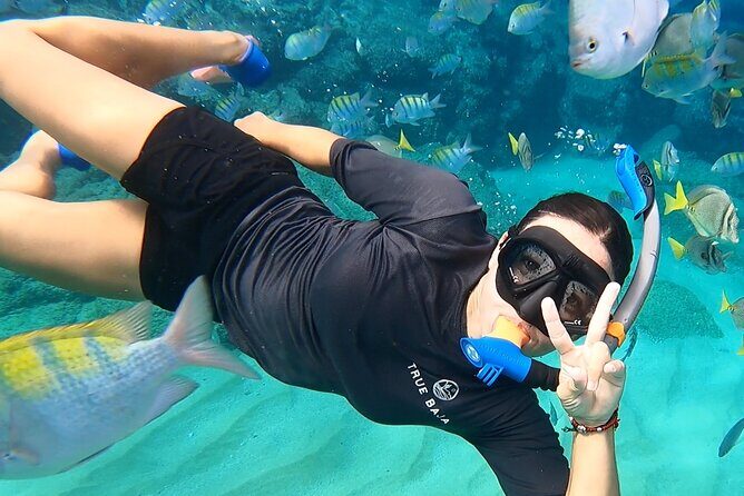 Snorkeling On Chilean Beach Transportation And Drinks Included - Key Points