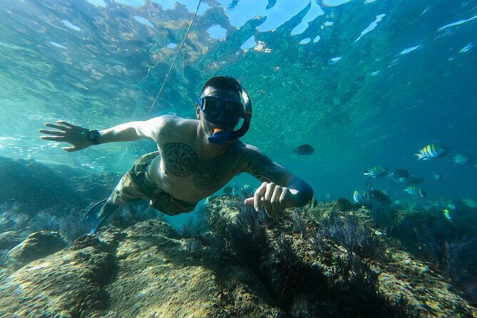 Snorkeling On Chilean Beach Transportation And Drinks Included - What Past Travelers Say