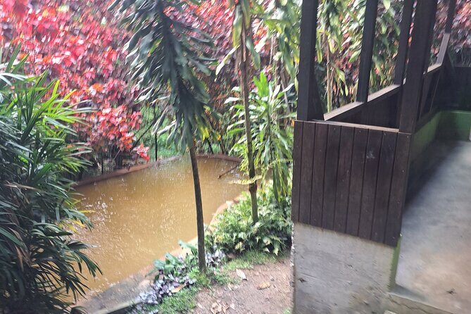 Snorkeling Point with Panoramic View and Hot Spa Bath - Final Thoughts