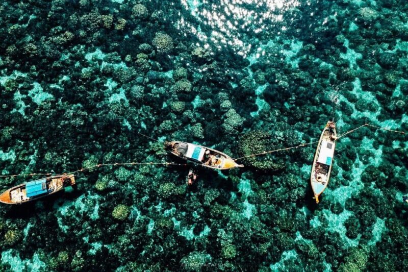 Snorkeling Program 1 Private Boat Lunch Included - Key Points