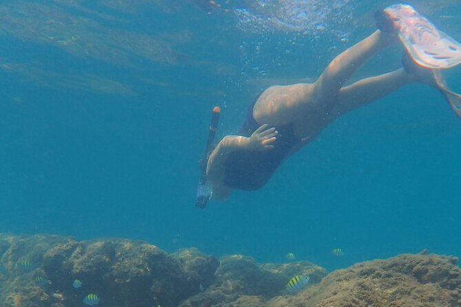 Snorkeling San Carlos With a Marine Biologist - Inclusions and Amenities
