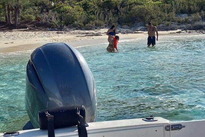 Snorkeling, Swim with Turtles & Beach Day - In The Sum Up