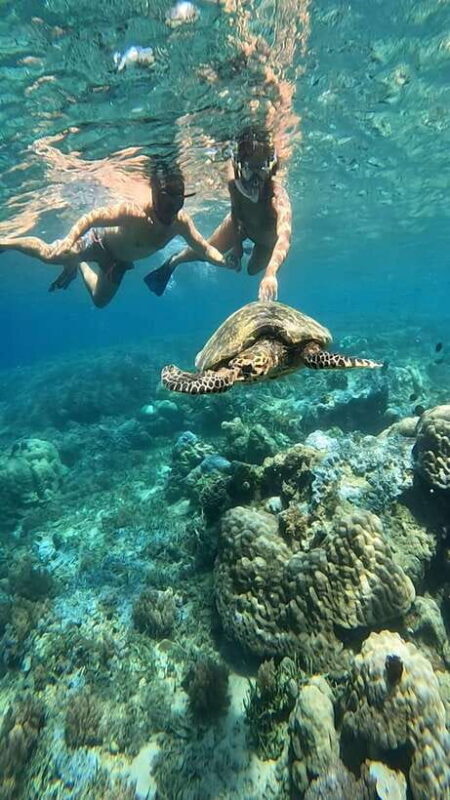 Snorkeling to Gili Nanggu, Tangkong, Sudak and Kedis - The Experience at a Glance