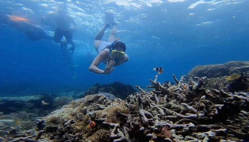 Snorkeling to Gili Nanggu, Tangkong, Sudak and Kedis - Transportation and Timing: Why They Matter