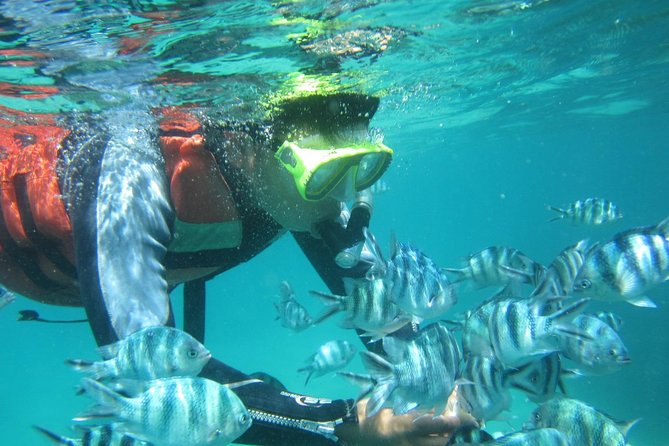 Snorkeling Tour at Blue Lagoon With Private Hotel Transfer - Customer Reviews and Ratings
