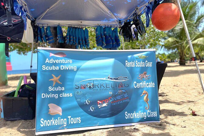 Snorkeling Tour at Cerro Gordo Beach Vega Alta Puerto Rico - Exploring the Snorkeling Tour at Cerro Gordo Beach in Vega Alta, Puerto Rico