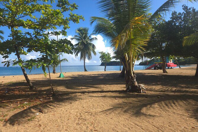 Snorkeling Tour at Cerro Gordo Beach Vega Alta Puerto Rico - Additional Details That Matter